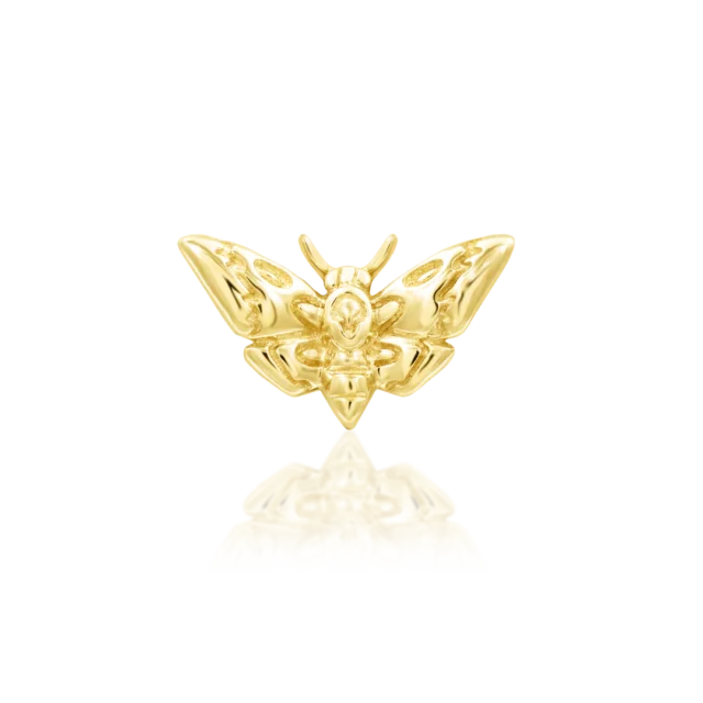 Deaths-head Moth