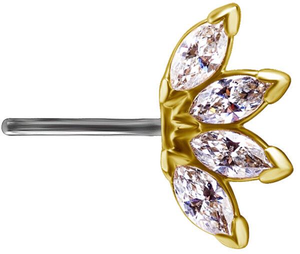 Quatro Marquise