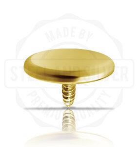 Plain Disk