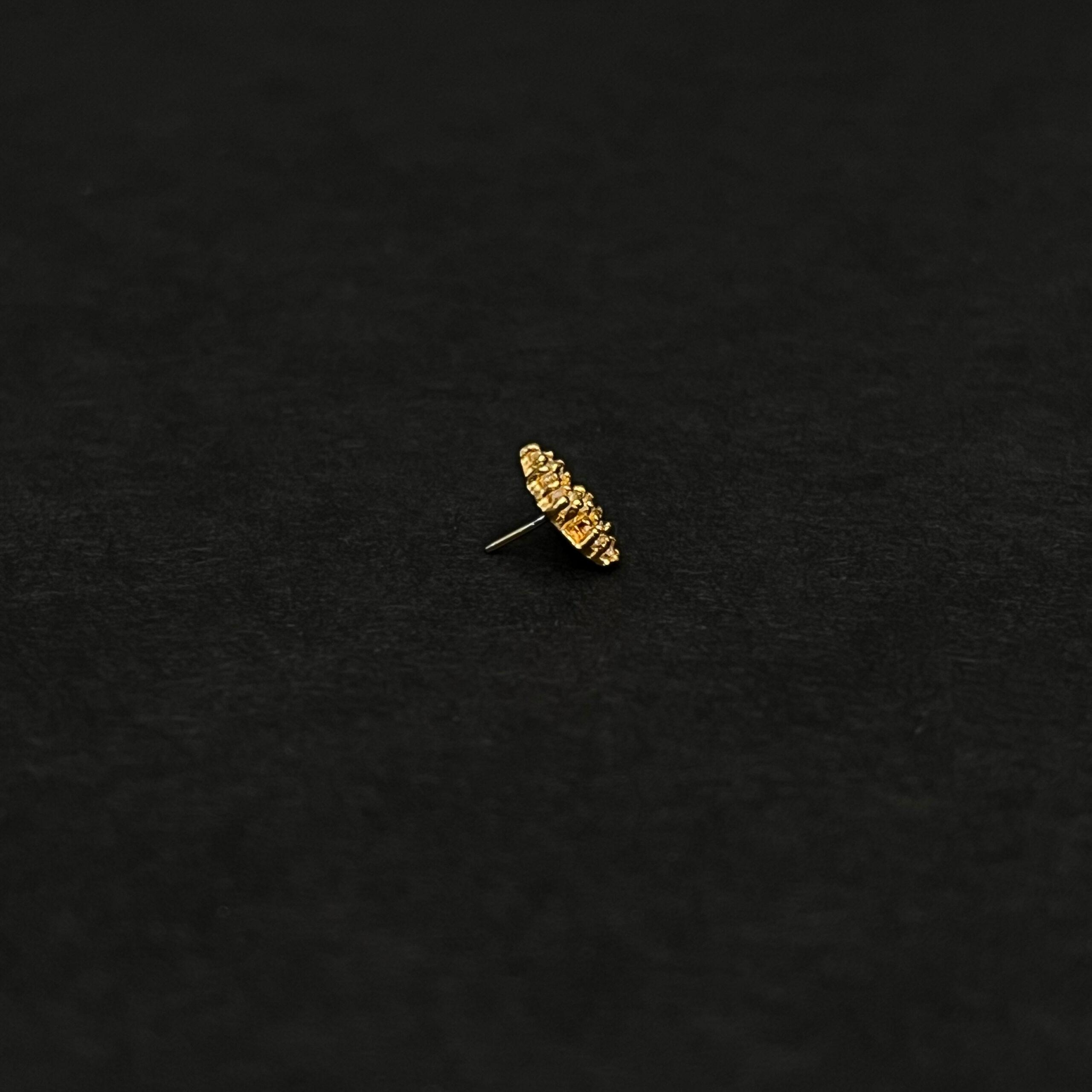 Citrien Crumble - Afbeelding 2