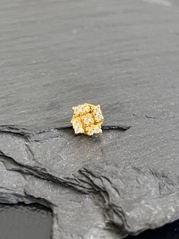 Citrien Crumble