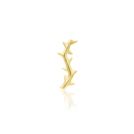 Thorn