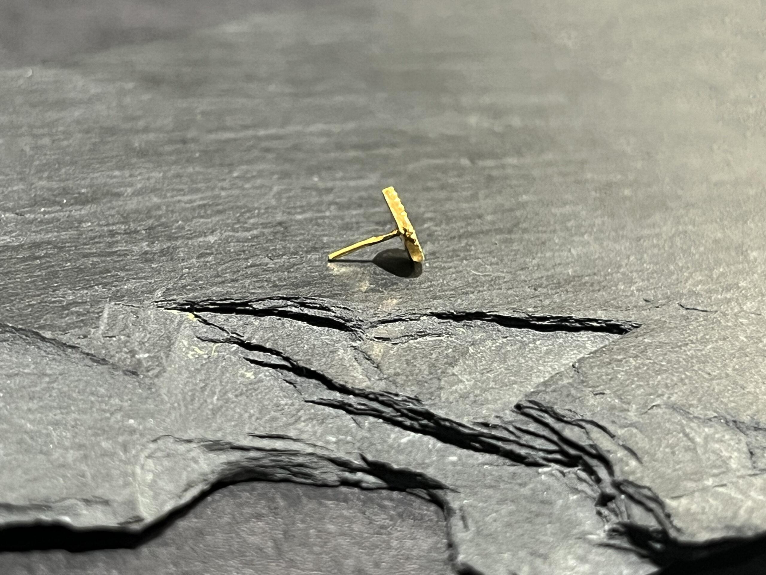 Véda - Afbeelding 2