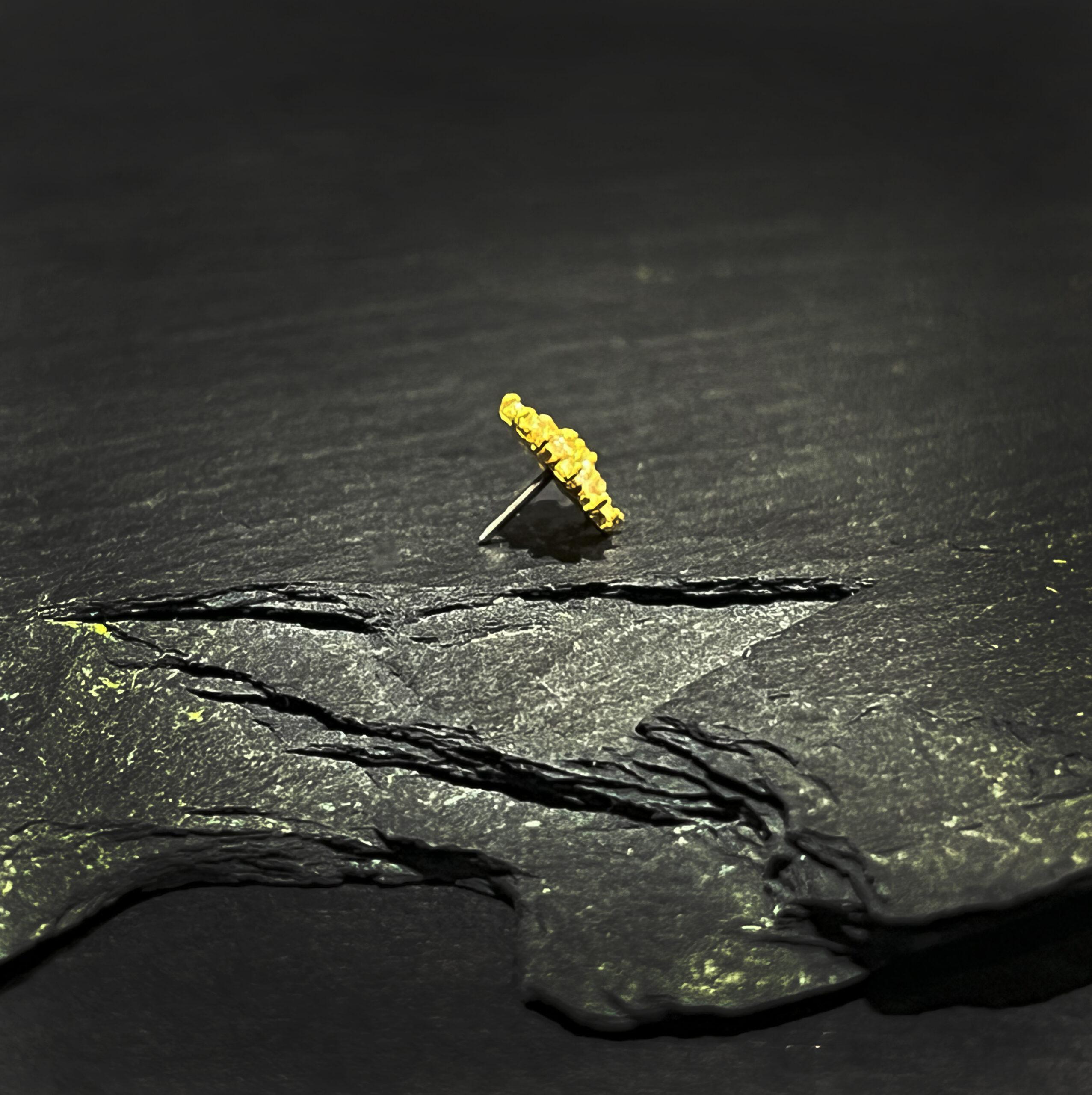 Sorena - Afbeelding 2