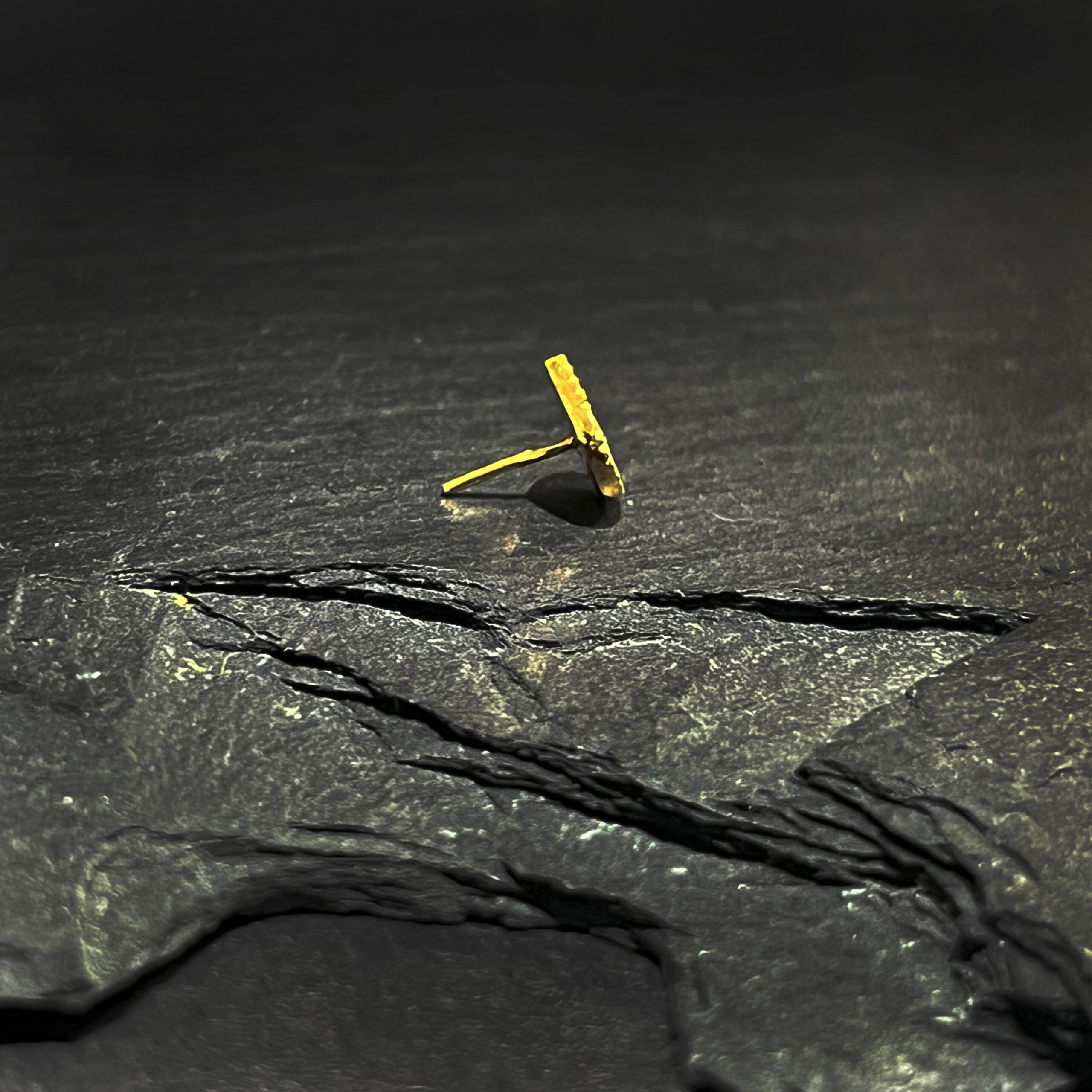 Véda - Afbeelding 2