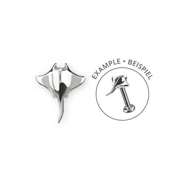 Aquila - Afbeelding 2